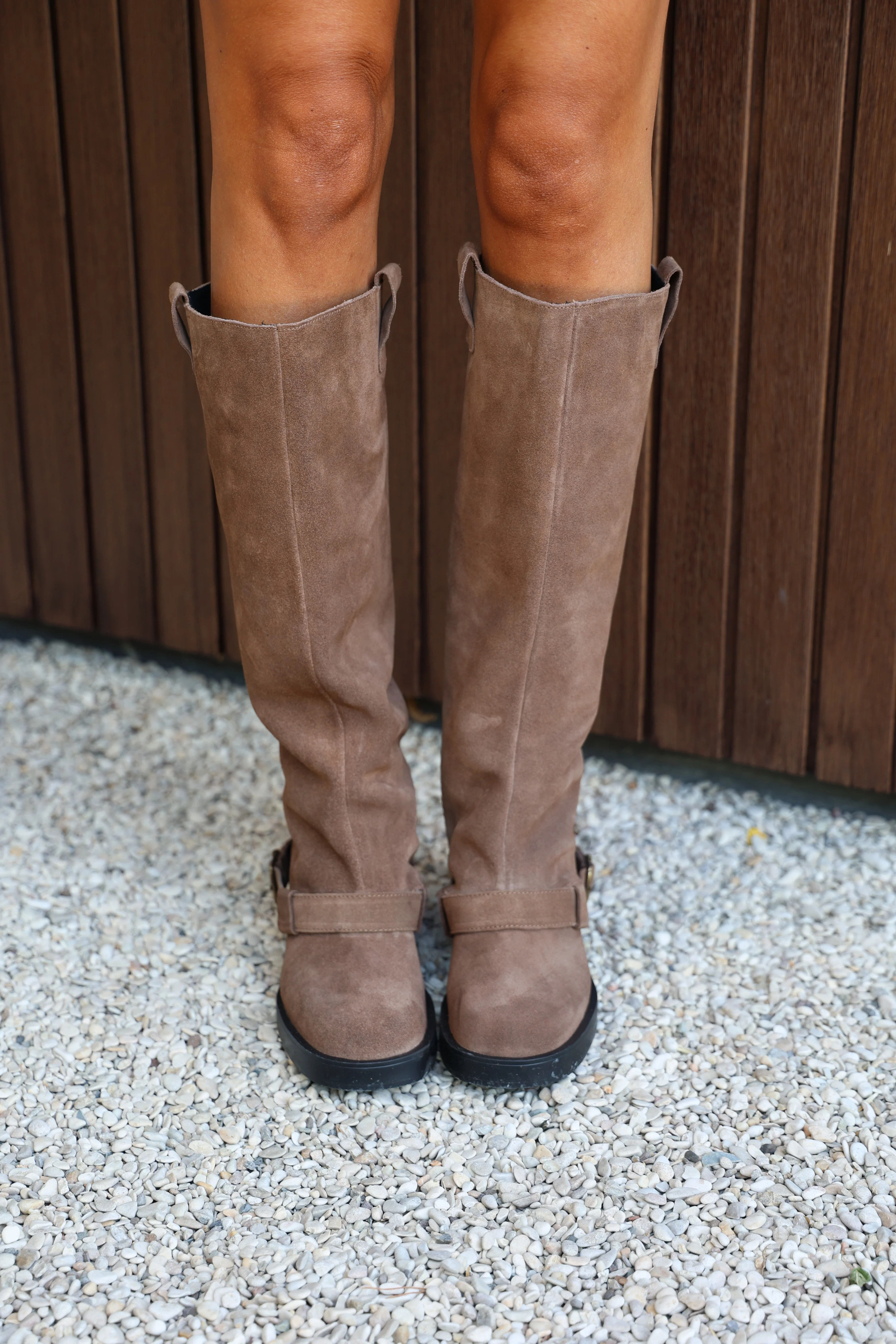 Boots Aletta | Taupe suede | Steve Madden - Image 2