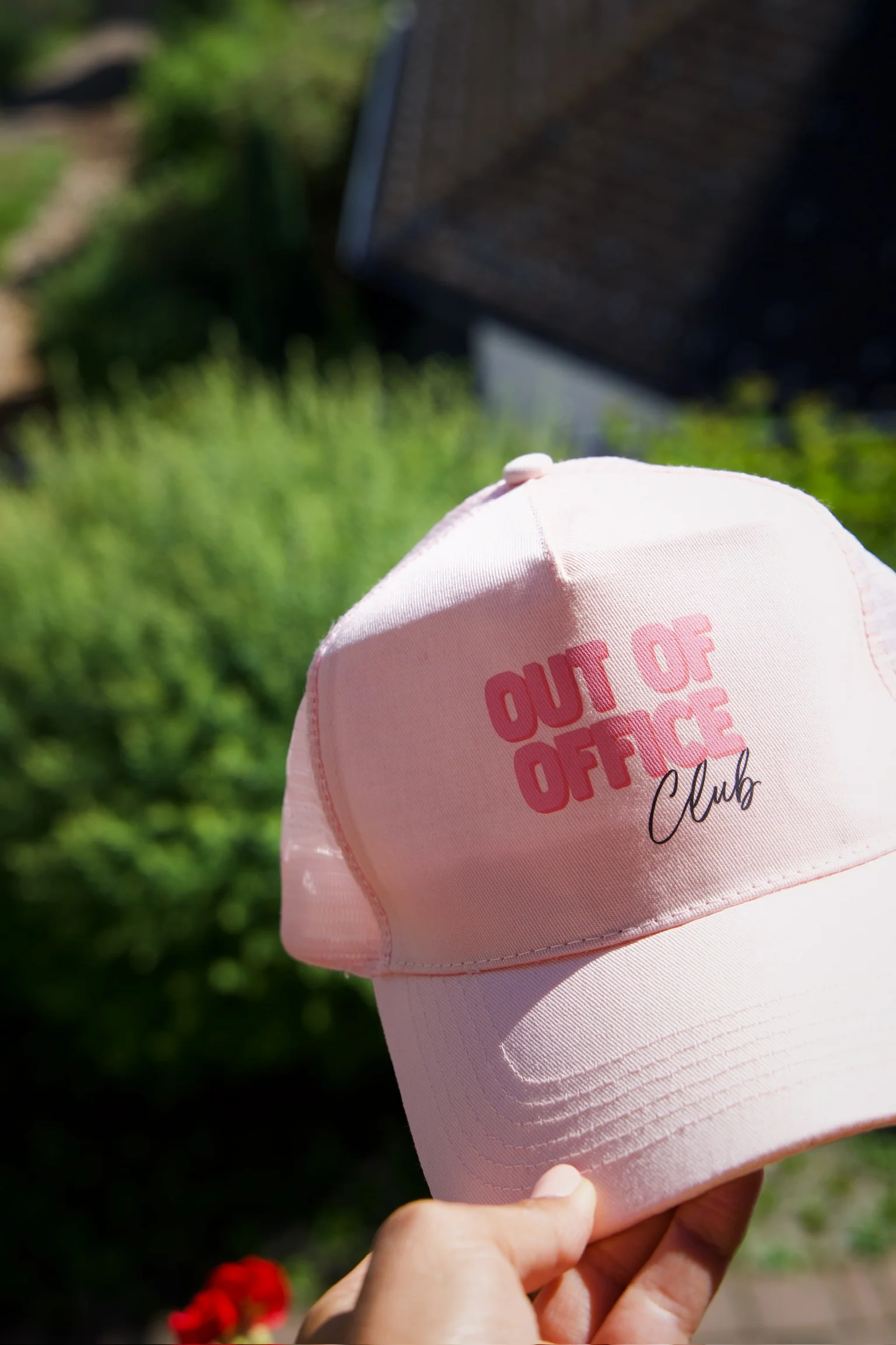 Pet Out of the Office | Studio Poespas - Image 5